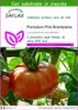 SAFLAX  - Pomodoro Pink Brandywine - 10 semi - Con Anteprima dell’immagine prodotto 1