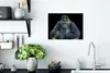 MuchoWow® Poster Ein Gorilla schaut eindrucksvoll in die Produktbild-Vorschau 3