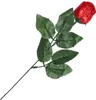 Wawi Schoko Rose mit toller Blüte aus leckerer Produktbild-Vorschau 5