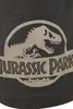 Jurassic Park Schlafanzug Herren Logo multicolor L Produktbild-Vorschau 4