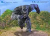 Godzilla x Kong: The New Empire Exquisite Basic Actionfigur Produktbild-Vorschau 11