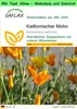 SAFLAX Garden to go - Kalifornischer Mohn - Eschscholzia Produktbild-Vorschau 1