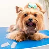 24 Stück Hundezahnbürste Fingerling, Fingerzahnbürste Hund, Produktbild-Vorschau 5