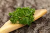 SAFLAX - BIO – kadeřavá petržel - Petroselinum crispum - Náhled obrázku produktu 8