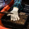 3x MINI-GEWÄCHSHAUS-KEIMERINSPEKTION FÜR SÄMLINGSKEIMER 48 Produktbild-Vorschau 8
