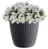 Blumentopf 24cm grau Prosperplast 23,9 cm x 23,9 x 22,5 cm Produktbild-Vorschau 4