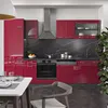 Cucina componibile Vicco R-Line Rosso lucido/antracite 300 Anteprima dell’immagine prodotto 4