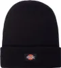 DICKIES - Cuffia uomo Gibsland con logo - Misura One size Anteprima dell’immagine prodotto 2