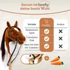 Hoofly® Hobby kôň hnedý (piebald) - Veľký hobby kôň pre Náhľad obrázku produktu 12