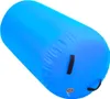 vidaXL Nafukovací gymnastická role s pumpou 120x90 cm PVC Náhled obrázku produktu 3