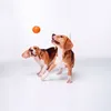 Ball für große Hunde, Schwimmt auf dem Wasser, Bindung Produktbild-Vorschau 6