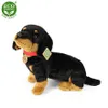 Bassotto Peluche Con Collare 36 Cm Ecologico Anteprima dell’immagine prodotto 10