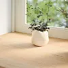 vidaXL Fensterbänke 2 Stk. Unbehandelt 70x15x2 cm Produktbild-Vorschau 2