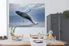 MuchoWow® Poster Wal, der aus dem Wasser springt 180x120 cm Produktbild-Vorschau 4