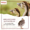 Supravit Geflügelkörnerfutter 5kg| Ohne Gentechnik | Produktbild-Vorschau 3