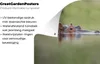 MuchoWow® Produktbild-Vorschau 4