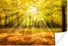 MuchoWow® Poster Baum - Natur - Sonne - Landschaft - Wald Produktbild-Vorschau 1