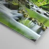 Bilder auf glas - Einteilig - Stream Wald Natur - 80x120cm Produktbild-Vorschau 5