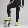 Puma Teamgoal Trainingshose Kinder - Schwarz Produktbild-Vorschau 3