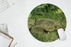 MuchoWow® Mauspad Mousepad Igel - Gras - Baby 50x50 cm - Produktbild-Vorschau 5
