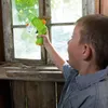HABA 4010168223629, 6 lat(a), Plastik, Wielobarwny Podgląd zdjęcia produktu 9