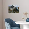 MuchoWow® Poster Ein europäischer Seeadler versucht, Beute Produktbild-Vorschau 5