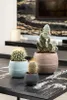 6 vasi rotondi per cactus color crema 10 cm con drenaggio, Anteprima dell’immagine prodotto 6
