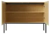 Modern dressoir met 2 deuren en metalen poten, ideaal als Productafbeelding-voorbeeld 15