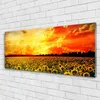Acrylglasbilder 125x50 Wandbild Druck Wiese Sonnenblumen Produktbild-Vorschau 2
