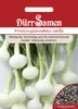 Dürr-Samen - Frühlingszwiebeln Vaugirard Weiße - Saatgut - Produktbild-Vorschau 1