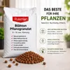 Blähton Tongranulat 4/16 mm 50 Liter für Hydrokultur und Produktbild-Vorschau 1