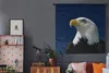 MuchoWow® Wandteppich Wandbehang Ein Weißkopfseeadler Produktbild-Vorschau 5