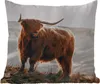 MuchoWow® Outdoor Kissen - Schottische Hochlandrind - Tiere Produktbild-Vorschau 6