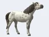 Cavallo Schleich Knabstupper castrone Anteprima dell’immagine prodotto 11