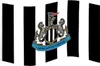 Newcastle United FC - Bandiera a strisce BS4460 (Taglia Anteprima dell’immagine prodotto 2