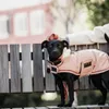 A black dog wearing a pink dog coat is sitting on a wooden bench outdoors. Produktbild-Vorschau