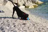 Chuckit! Hundespielzeug Rope Fetch Produktbild-Vorschau 6