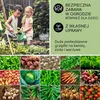 Blumfeldt Podwyższona grządka z metalu, Odporna na warunki Podgląd zdjęcia produktu 7