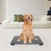 A golden retriever dog sits on a digital scale in a living room setting with a couch in the background. Podgląd zdjęcia produktu