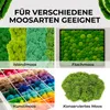 7 Artists Mooskleber Grün 1000 ml – Kleber für Moosbilder & Produktbild-Vorschau 6