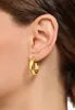 Close-up of a woman's ear wearing a gold hoop earring. Anteprima dell’immagine prodotto