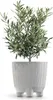 jardinière 19,5cm RYFO N ECO WOOD DRF200NW-S449W blanc Voir les images du produit 3