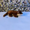 Doudou loutre Animigos Voir les images du produit 2