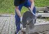 EIBENSTOCK Système de séparation ETR 400.1 P humide/sec Voir les images du produit 2