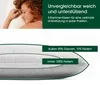 HANSKRUCHEN Daunenkissen 80x80 cm Allergiker freundlich 3 Produktbild-Vorschau 3