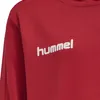 HUMMEL hmlPROMO KIDS POLY HOODIE 3062 TRUE RED 128 Produktbild-Vorschau 3