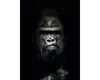 Glasbild Wandbild Gorilla II 60x80 cm Hochkantformat Loft & Produktbild-Vorschau 1