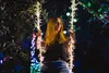 Inteligentní Led Ice Spreidetwinkly 190 Rgb 5X0,7M Náhľad obrázku produktu 15