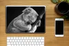 MuchoWow® Laptop Aufkleber Sticker Cover Koala - Schlafend Produktbild-Vorschau 2