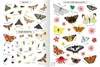 Naturforscher-Kids - Stickerheft Insekten Produktbild-Vorschau 7